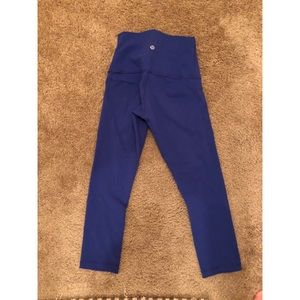 blue wunder under high rise crop 4